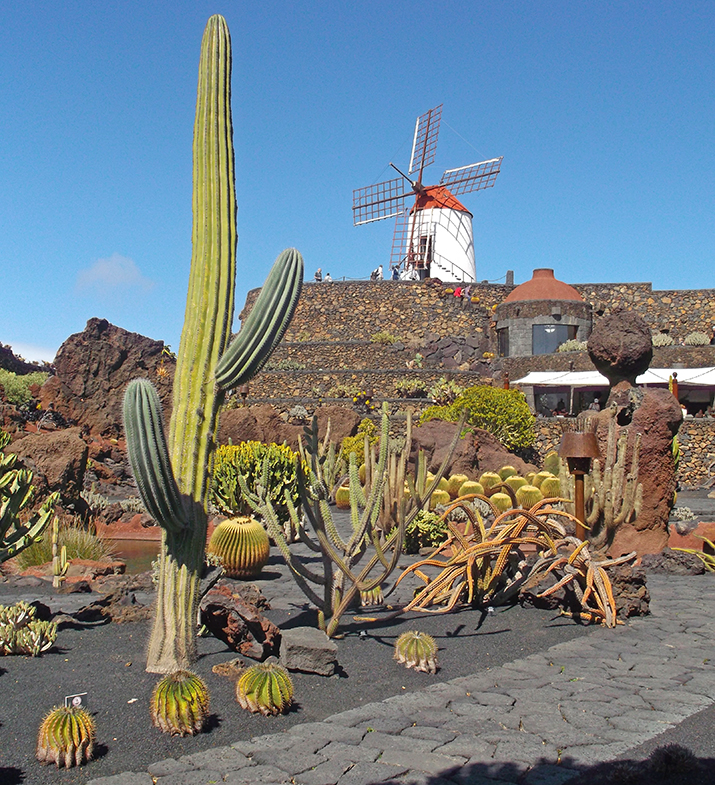 Jardin de Cactus, Mühle