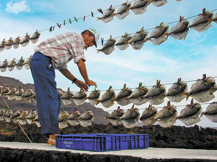 Jareas, pescados secados al sol en Òrzola